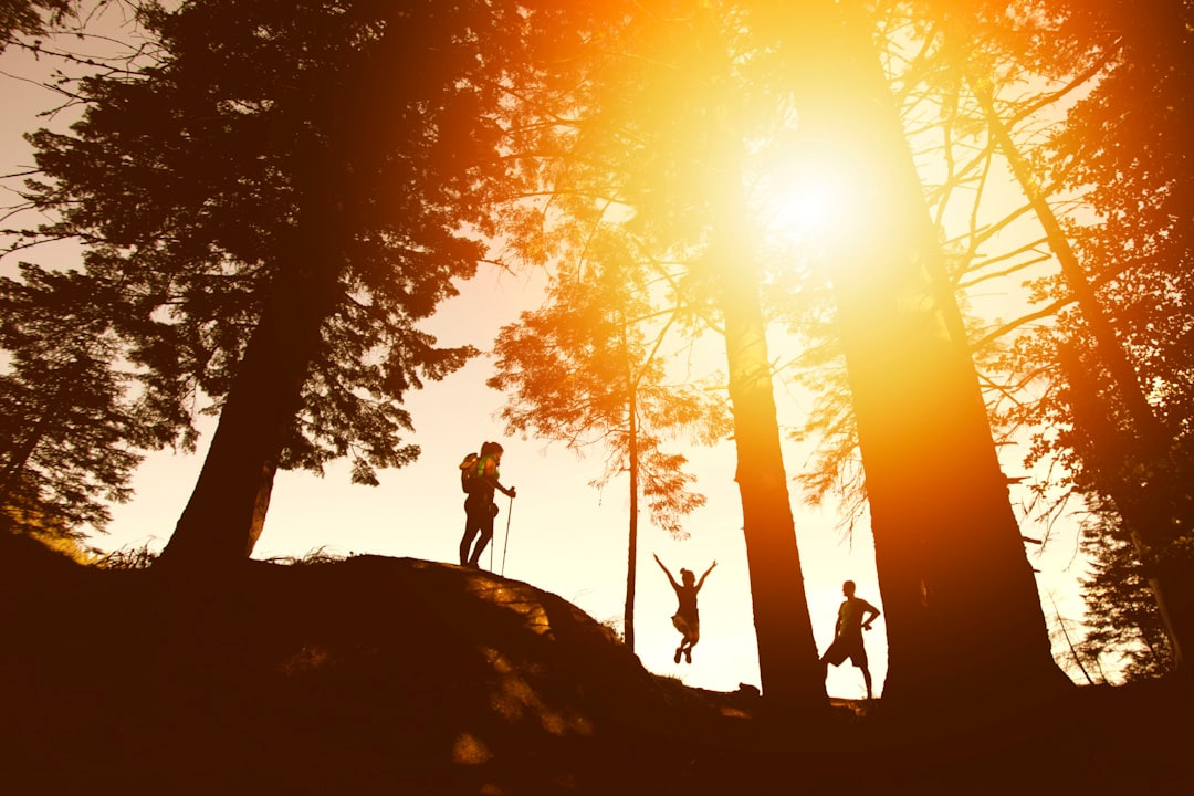 Experiential and Adventure Therapy: Bringing Individuals Into the Experience