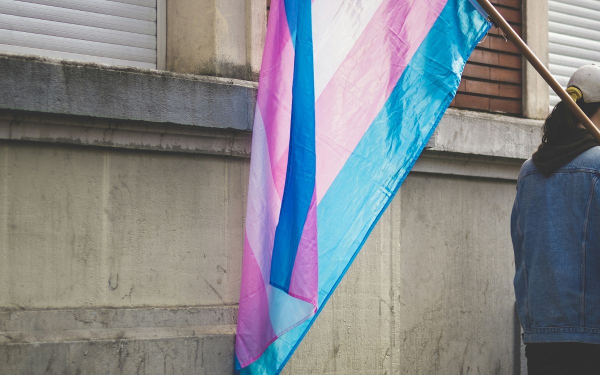 a person holding the transgender flag